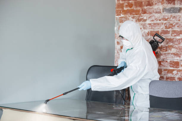 Best Residential Mold Inspection & Testing  in Hampton, SC