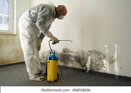 Professional Mold Removal & Remediation in Hampton, SC